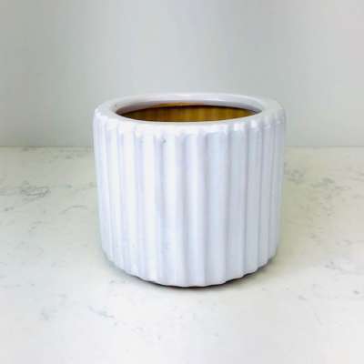 Round Ribbed Pot White White Ribbed Pot – DOROTHY McDANIEL’S FLOWER MARKET